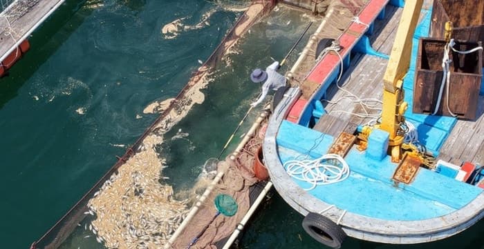 경남 남해안 고수온 피해 110억 돌파…지난해 3배 육박