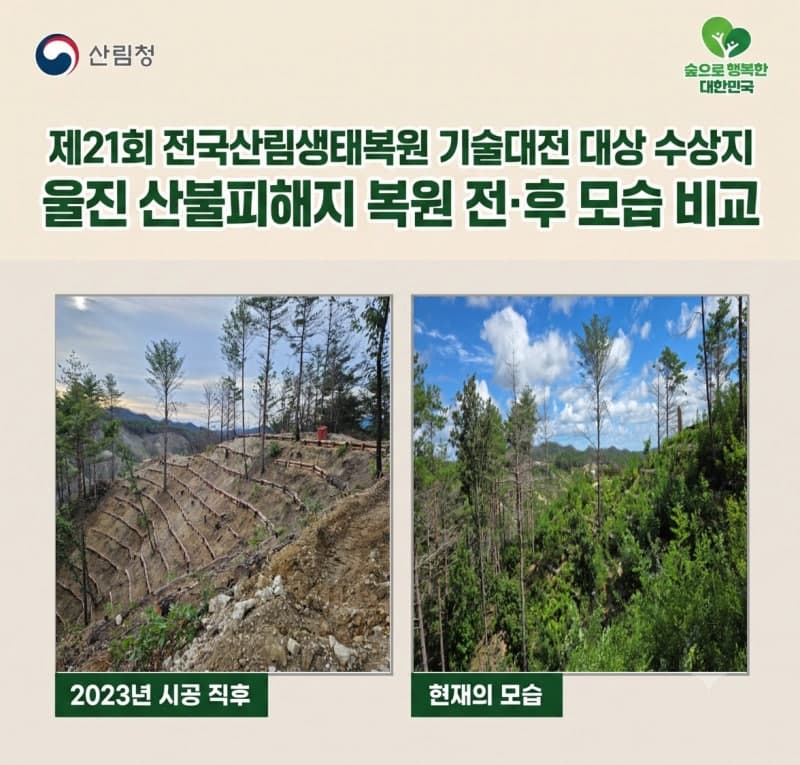 산불 피해목으로 숲 되살린다…산림생태복원 기술대전 대상 수상