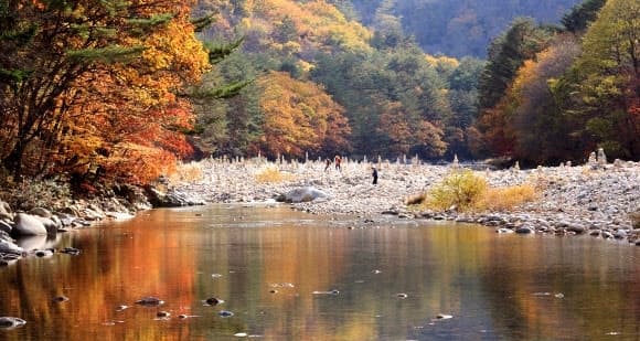 인제군, 고향사랑기부금 제1호 사업 '인제 시티투어' 4일부터 본격 운행