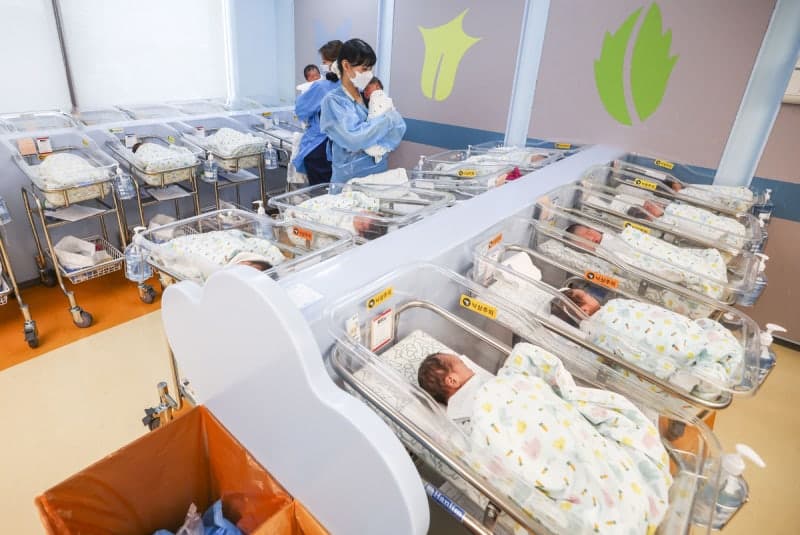 사교육 지위 경쟁 없었다면 출산율 28% 높아졌다