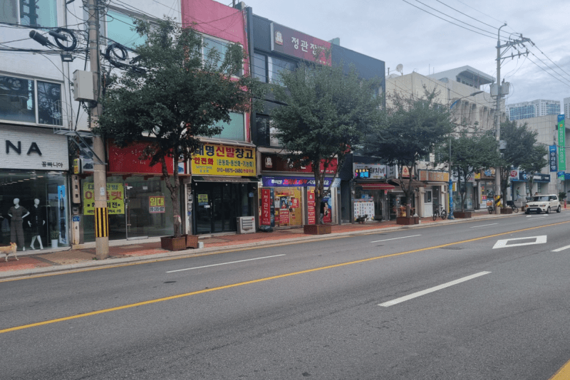 속초 설악로데오거리 화단 걷어내고 보행공간 확대…연내 정비 완료