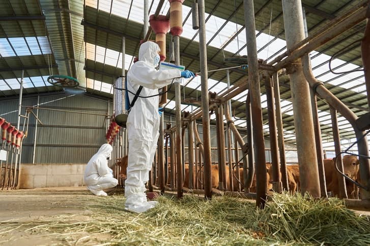 경북 예천 소 농장서 구제역 발생…위기경보 '심각' 격상