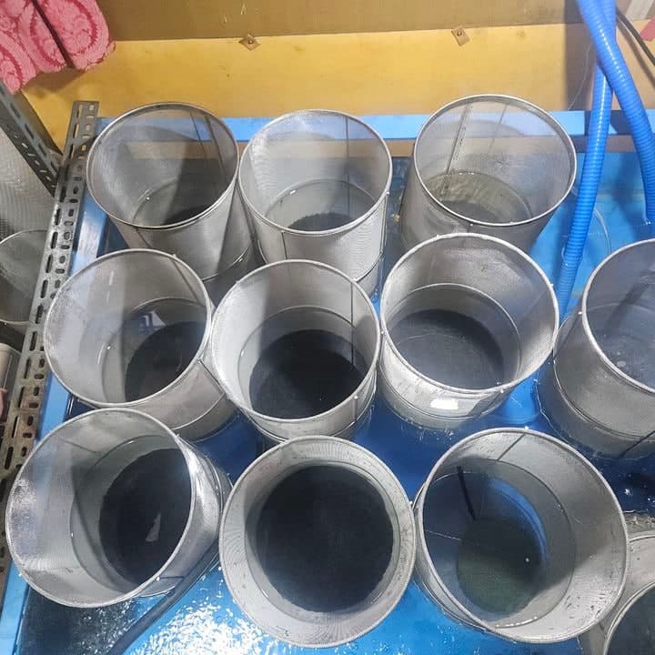 충남 서해안서 불법 포획 실뱀장어 64만 마리 유통한 60대 구속 송치