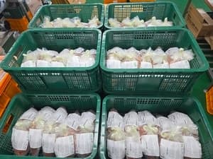 전남광주 김치 미국 수출길 올라…10월엔 영국 시장 공략 나선다