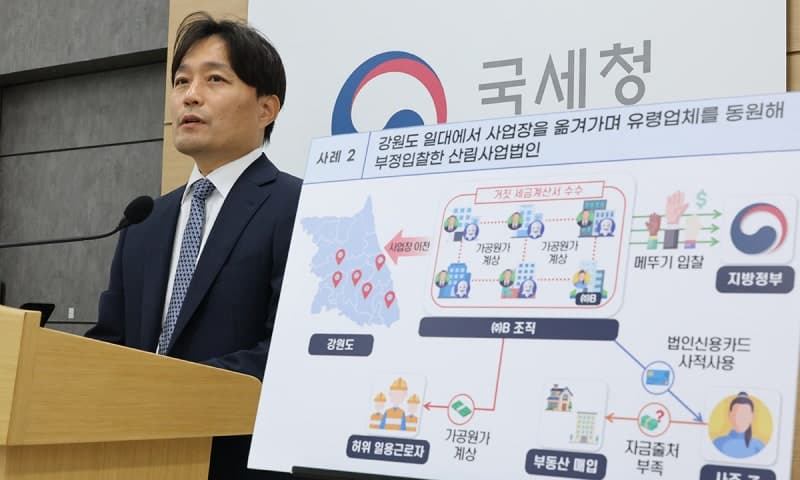 산불 복구 사업 노린 '메뚜기 입찰'···유령업체 동원 10곳 세무조사 착수