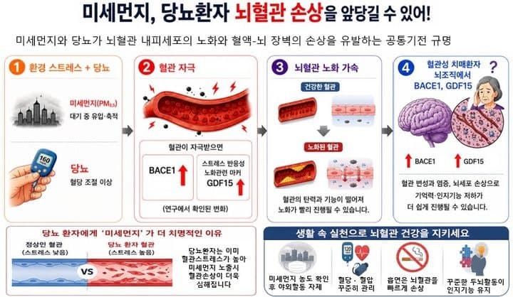 당뇨 환자, 초미세먼지 노출 시 뇌혈관 손상 위험 더 크다