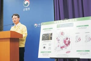 소나무재선충병 방제 국가 주도 전환… 800km 국가방제벨트 구축한다