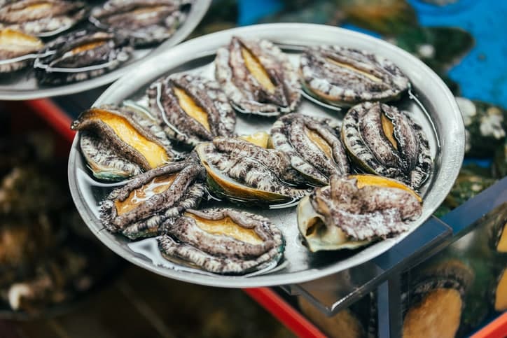 버려지던 전복 껍데기, 산란계 사료로 재탄생…연말까지 품질 실증