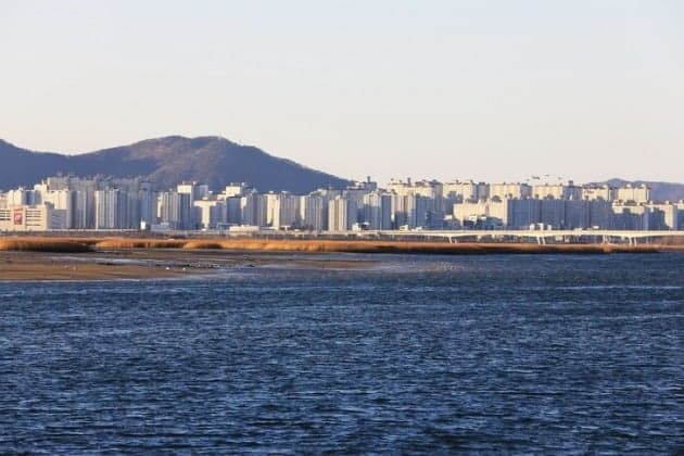 부산 강서·충남 천안 미분양관리지역 신규 지정…전국 4곳 유지