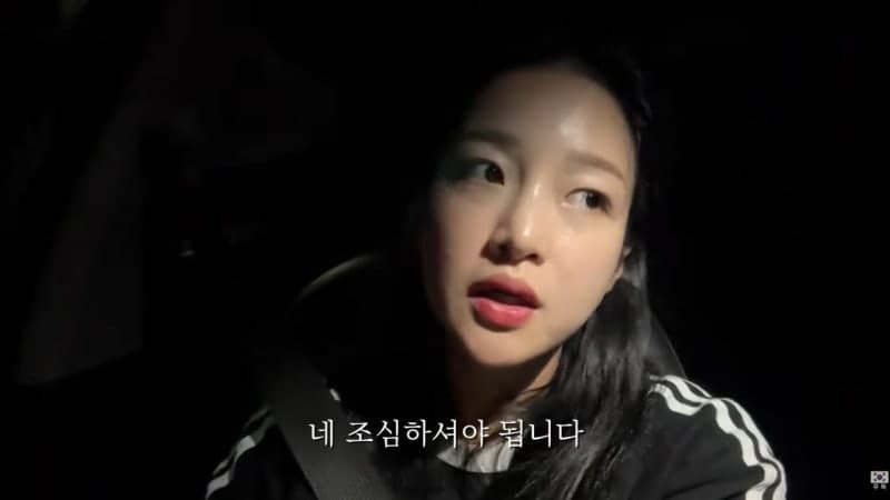 택시에서 눈 떠보니 갈대밭…제주 유튜버가 전하는 섬뜩한 치안 실태