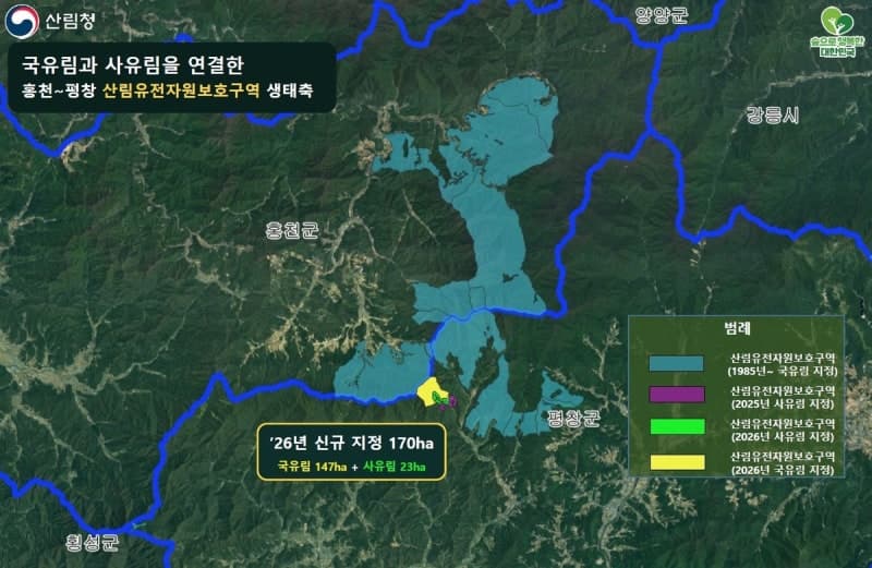 산림청, 평창~홍천 9300㏊ 산림유전자원보호구역 생태축 연결