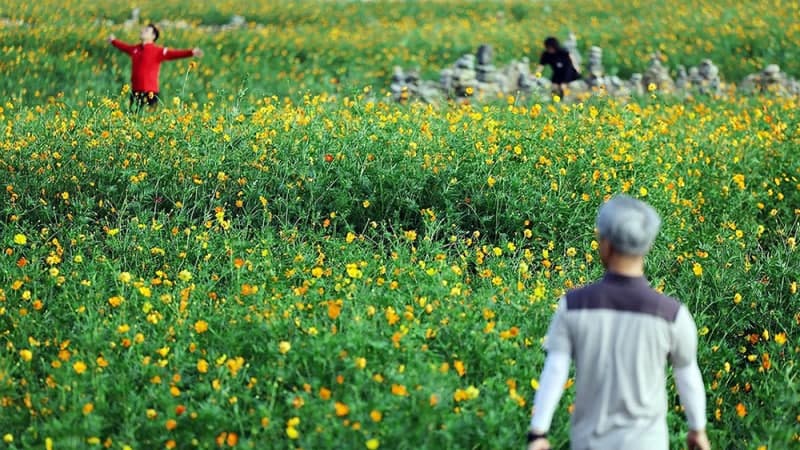 아침 최저 12도 뚝 일교차 큰 초가을…동해안 비·해안가 강풍 주의