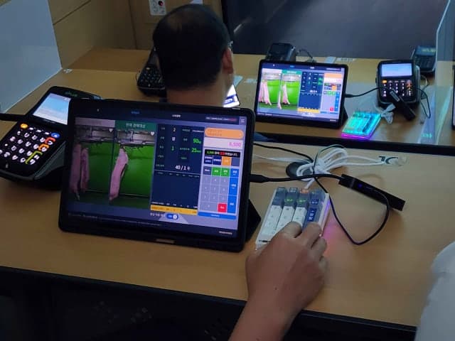 축산물품질평가원, 실물 이동 없는 '돼지 원격지 온라인경매' 첫 시행