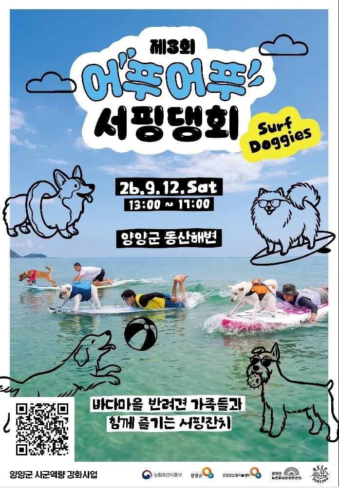 반려견과 파도 타는 특별한 교감…양양 동산해변서 제3회 어푸어푸 서핑댕회 개최