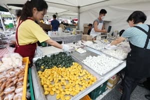 강남구, 16일 추석맞이 직거래장터 개최…전국 특산물 한자리에