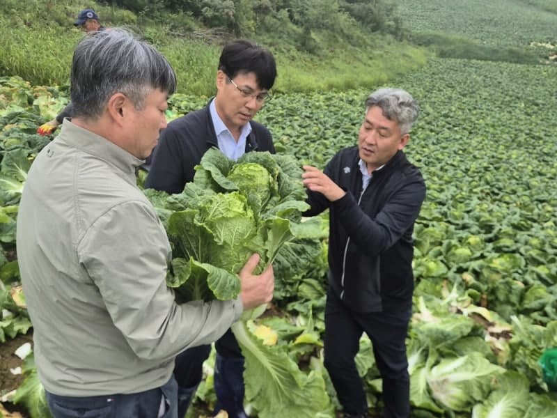 농협, 추석 앞두고 ‘농축산물 수급대책상황실’ 가동…성수품 공급 확대