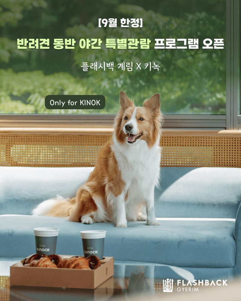경주 플래시백 계림, 9월 맞아 반려견 동반 관람 및 웰니스 프로그램 운영
