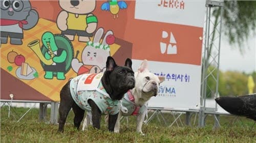기다려만 잘해도 금메달… 10월 24일 '2026 서울펫림픽' 개최