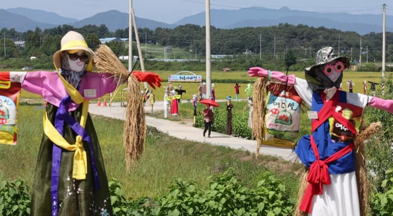 농지 임대시장 위축 속 대규모 농가 쏠림 심화…청년농 진입장벽 높아진다