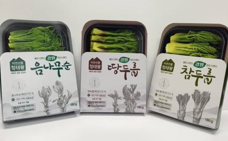 강원 산채, 신가공기술로 캐나다 시장 공략 본격화
