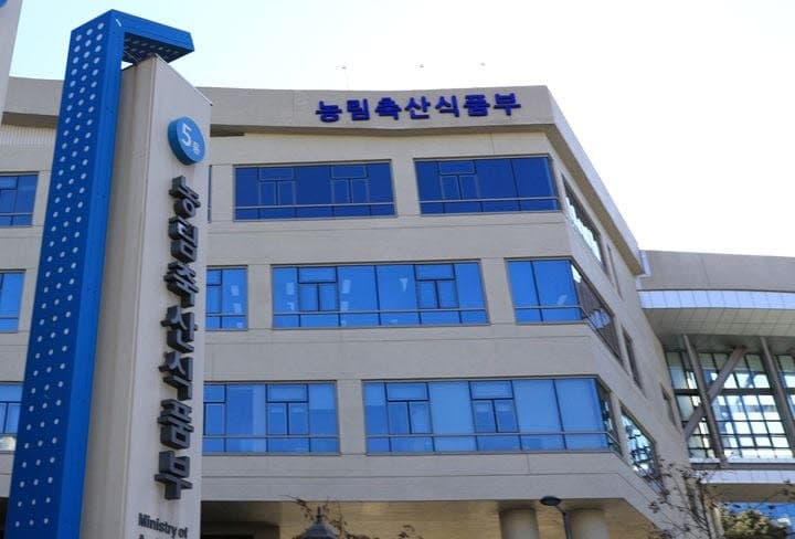 한중 농업협력위 8년 만에 재개…국산 감 연내 중국 수출 추진
