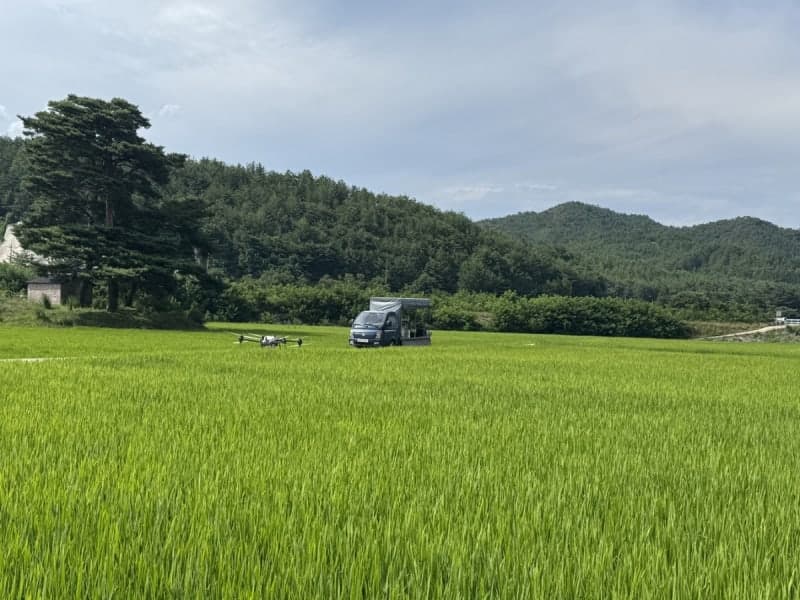 삼척시, 벼 혹명나방 피해 확산에 284㏊ 긴급 공동방제 추진