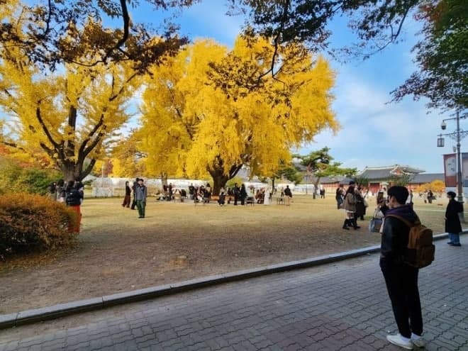 국립고궁박물관 야외결혼식 '고결' 경쟁률 8.4대 1…79쌍 최종 선정