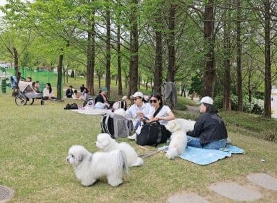 반려동물 친화관광도시 임실군, 반려견 동반 펫투어 운영 본격화