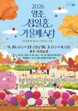 2026 양주 천일홍 가을 페스타 26일 개막…꽃밭과 공연 한자리에서