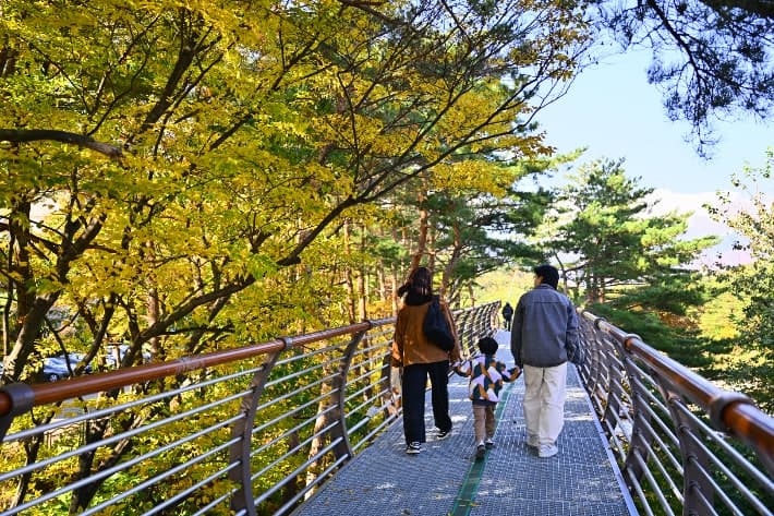 속초 설악향기로 개통 2년 만에 64만 명 돌파…설악동 관광 부흥 이끈다