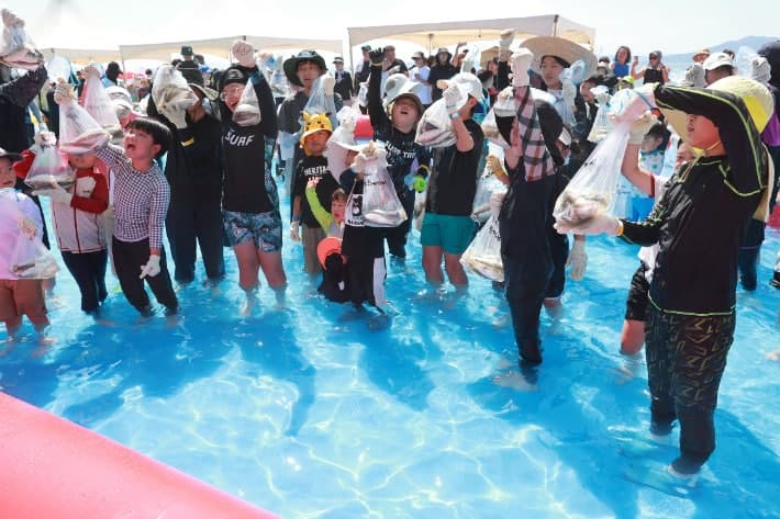 추석 연휴 보성 율포솔밭해수욕장에서 열리는 제18회 보성전어축제
