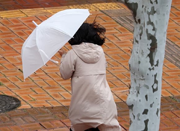 전국 강한 바람 불고 강원 동해안 비…초가을 날씨 이어져