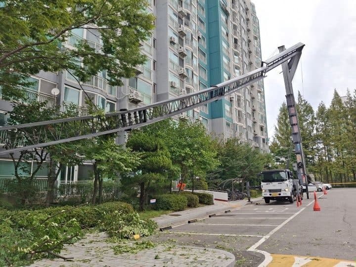 수원 아파트서 이삿짐 사다리차 사다리 꺾여…차량·나무 덮쳐