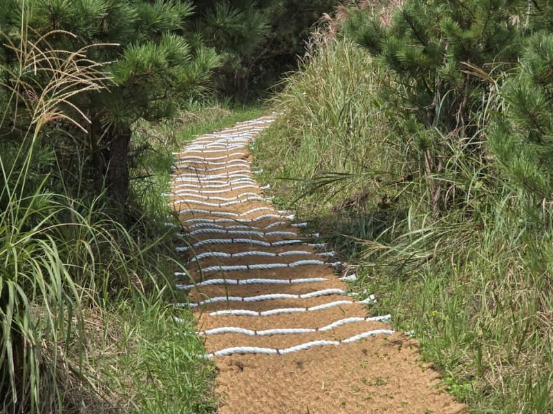 오름·곶자왈·마을 잇는 33km 생태탐방로 ‘송당 ᄆᆞ실길’ 열렸다