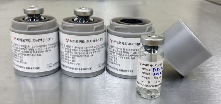 매일 약 먹이던 고양이 갑상선 치료, 주사 한 번으로 끝낸다…국산 방사성의약품 첫 허가