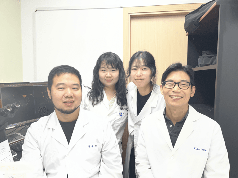 KAIST, 뇌세포 ‘RNA 택배’ 비밀 풀었다…신경세포 성장 원리 규명