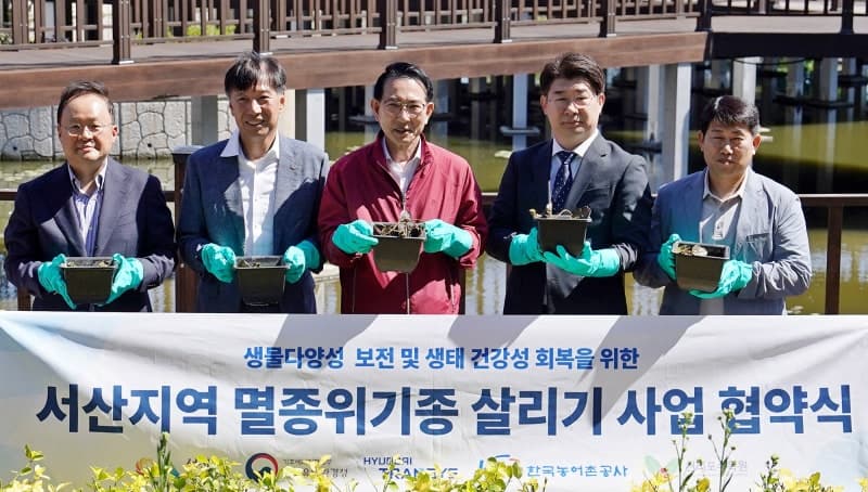 서산 풍전저수지, 멸종위기종 '가시연' 서식지로 탈바꿈한다