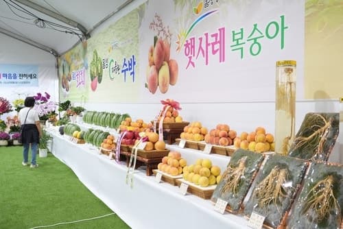 2026 음성명작페스티벌 17일부터 4일간 금왕읍에서 개최