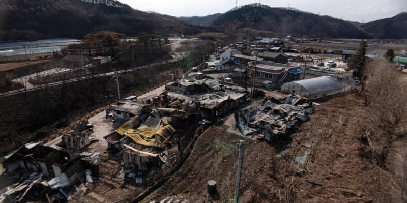 "그날 꼭 태웠어야 했나"…27명 숨진 경북 산불 항소심서 재판부 질타