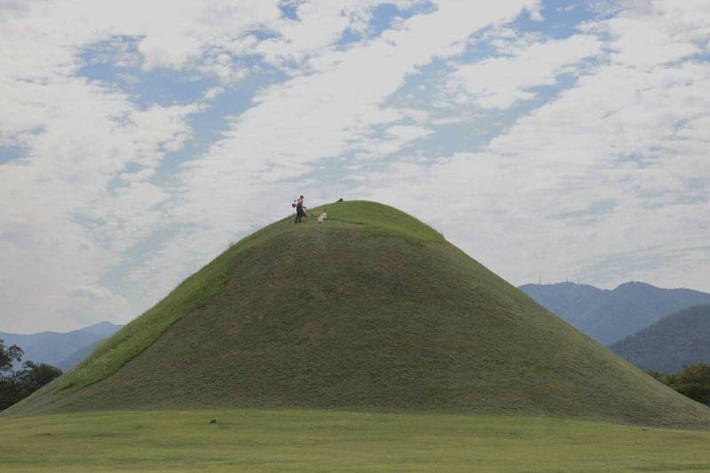 천년고도 경주 신라 왕릉, 가을맞이 ‘이발’로 새 단장