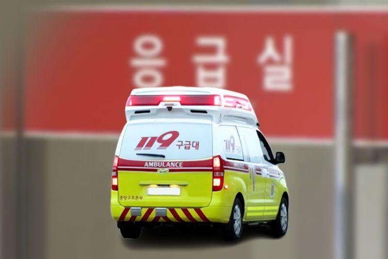 벌초하러 나섰던 50대 남성, 진도 야산서 숨진 채 발견