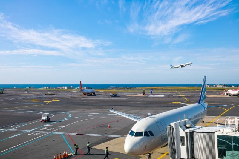 올 상반기 공항 입국 사전 차단 11만 건 돌파…ISIS 전투원도 걸러냈다