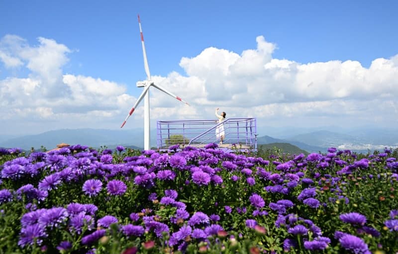제주 최대 100mm 폭우와 강풍…내일 전국 흐리고 남부 비