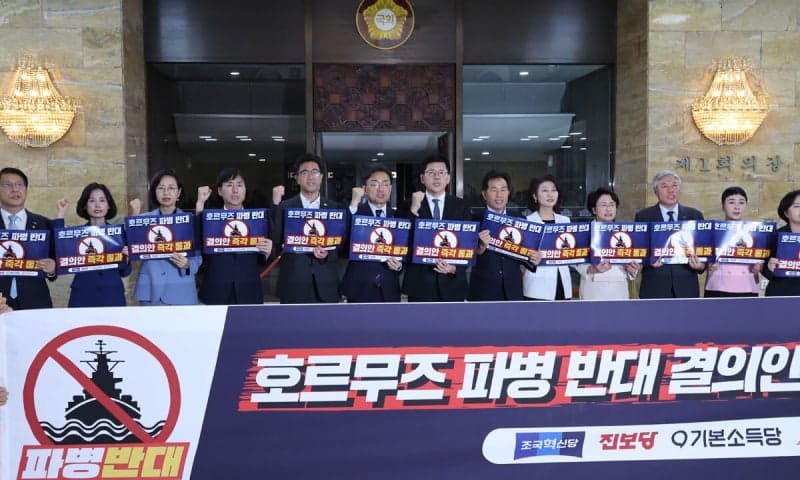 호르무즈 파병 검토에 국회 질타…외교부, 대미 협상서 연계 조율