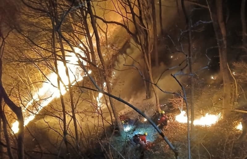 '봉대산 불다람쥐' 또 산불 냈다…출소 4년 만에 징역 12년 선고