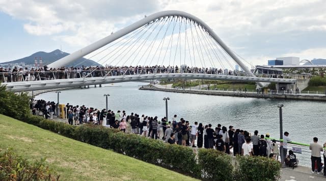 도심 수로에 나타난 3.5m 상어…부산 북항에 구경 인파 운집
