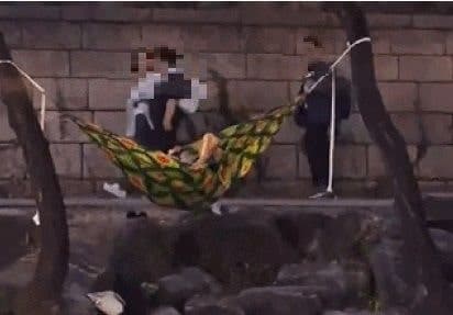 청계천 가로수에 해먹 걸고 누운 남성, 잇따르는 무질서 행위에 시민들 눈살