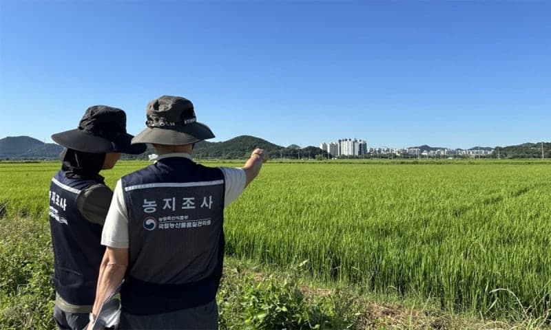 관행적 농지 위반 처분 유예…불법 전용 농지 38년 만에 양성화 추진