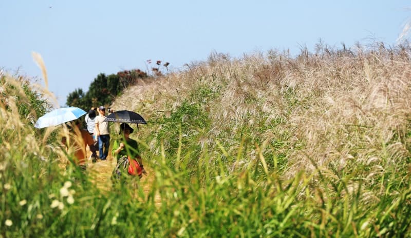 추분 앞두고 맑고 완연한 가을날…내륙 일교차 최대 15도