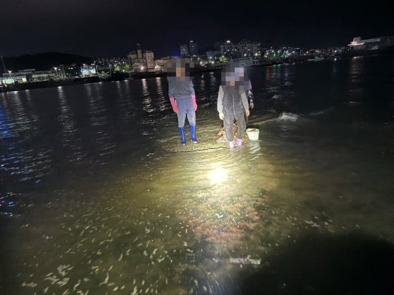 전국 해루질 사망자 10명 중 4명 충남서 발생…특별대책 가동